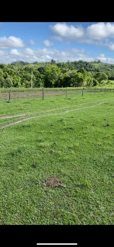 GRAMA BATATAIS 