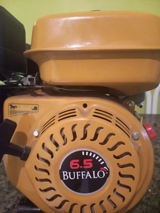 Motor novo 