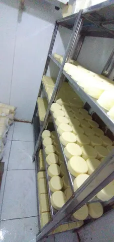 Queijo coalho do jaguaribe