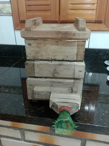Abelha nativa sem ferrão 