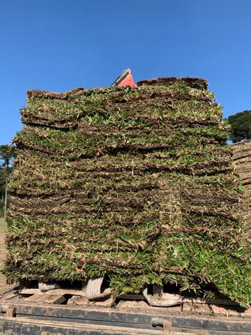Grama, terra preta e pedras de jardim 