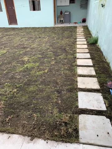 Grama Plantada 