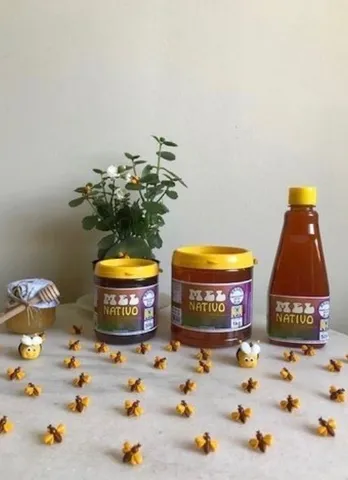  Mel - Empresa Mel Nativo - mel puro, pólen, própolis e produtos da colmeia