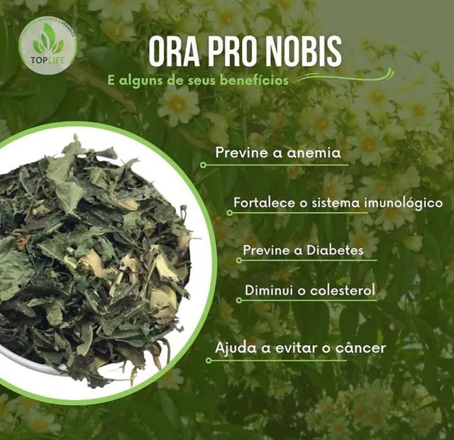 Ervas para Chás e Banhos ( Atacado e Varejo)