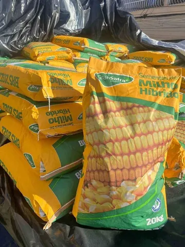 Sementes de Milho Híbrido Brs 2022 e Sorgo Ponta Negra - GranSafra (Loja
