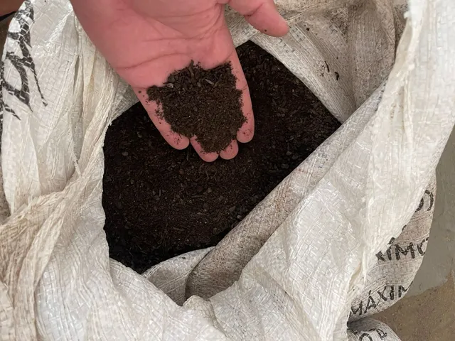 Adubo orgânico!