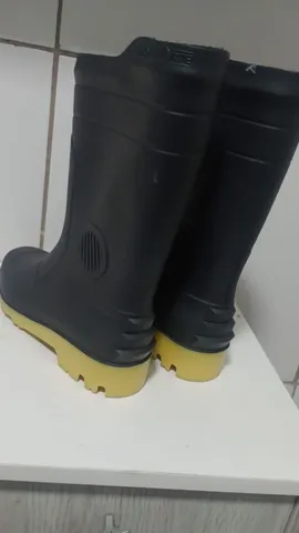 Bota