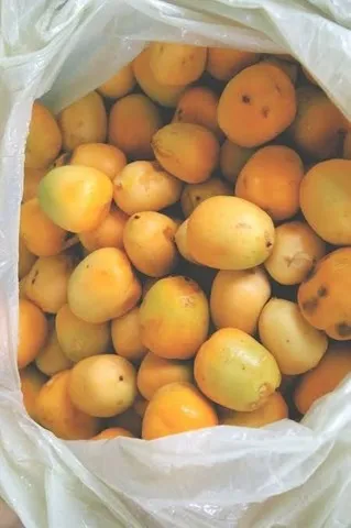 Coquinho azedo limpo,pronto pra polpas,sucos,picoles,sorvete etc.