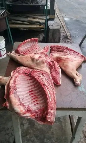 Temos carne de porco 