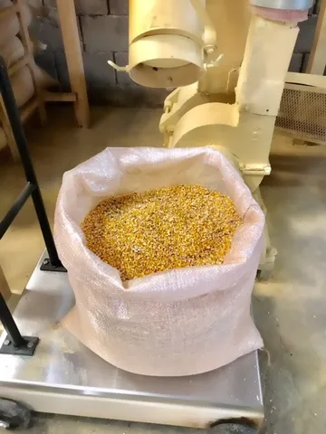 Quirela de Milho 