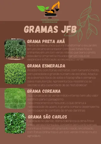 GRAMAS COREANA, SÃO CARLOS, ESMERALDA E PRETA 