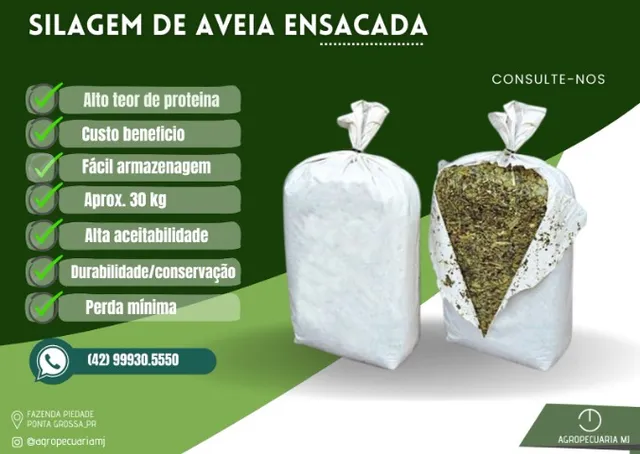 Silagem de Aveia