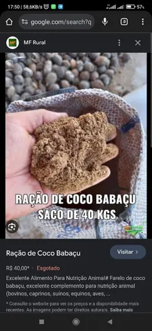 Farelo de Babaçú 