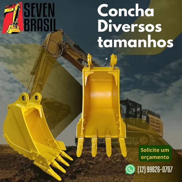 Conchas Diversos Tamanhos 