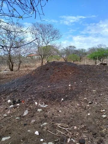 VENDO ADUBO ORGÂNICO(ESTERCO) CURTIDO.