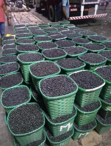 Açai direto da fábrica 