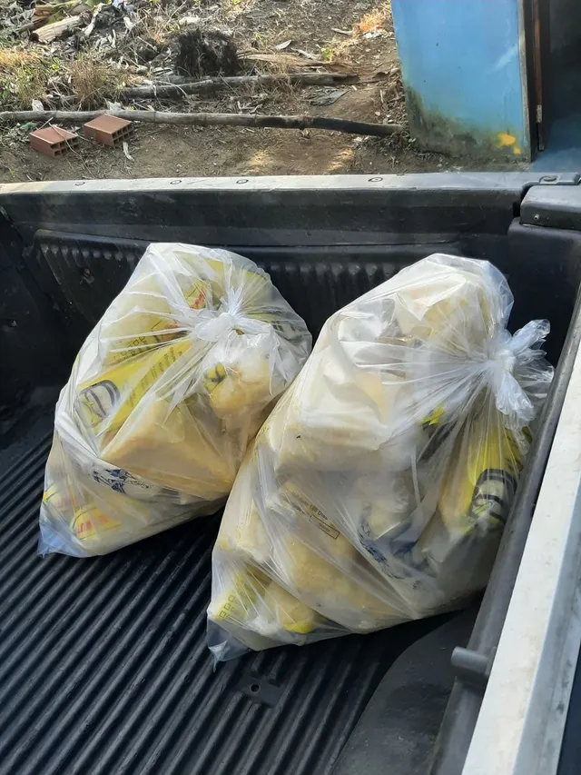 Polpa de cupuacu tizorado