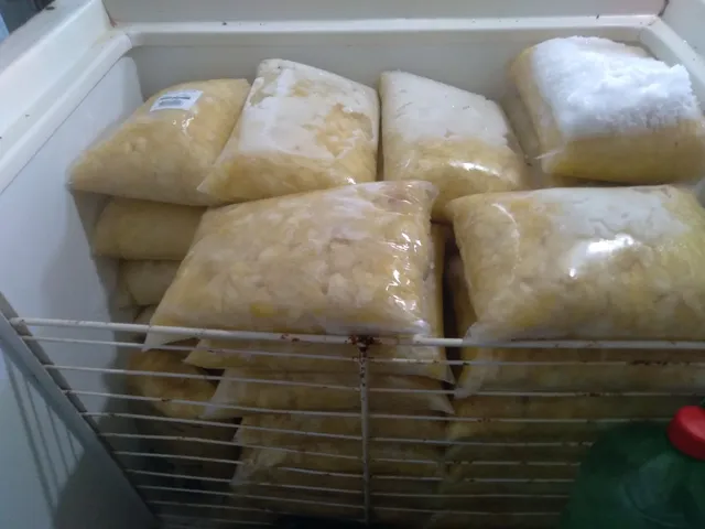 Polpa cupuaçu tizorado 7$