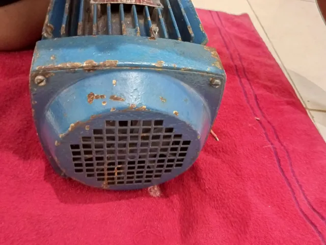 CEBOLINHA RM ALTOMOTIVO 