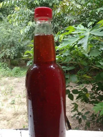 Mel orgânico de abelha e Rapadura cremosa