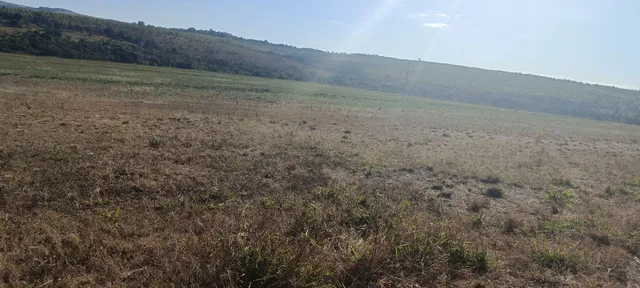 Pasto pra gado / Área pra plantação 