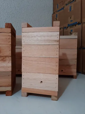 Caixas Impa Abelhas Sem Ferrão Eucalipto 12x12
