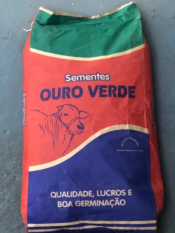 Sementes de capim