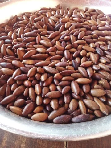 Vendo castanha de Baru 
