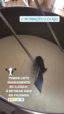 Leite direto do produtor