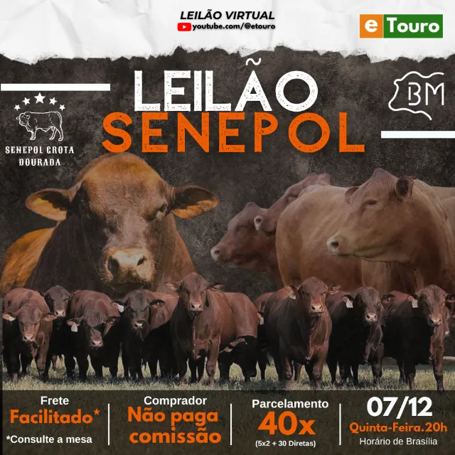 Leilão Senepol Grota Dourada