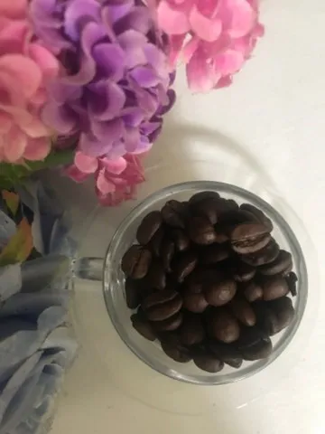Café em grão, moído e verde
