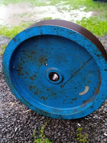 Polia
