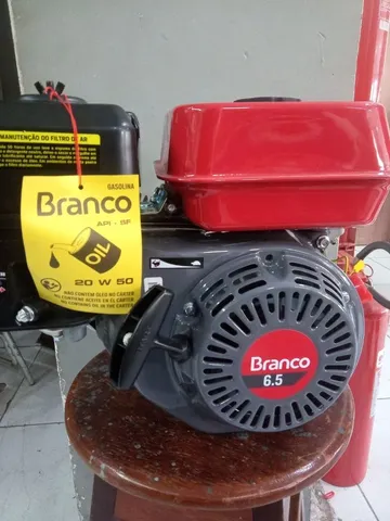 Motor Branco 6.5 Hp