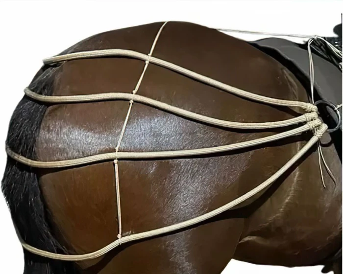Retranca De Garupa Para Equinos/ Cavalos/ Garupeira com argolas em inox COR BEGE