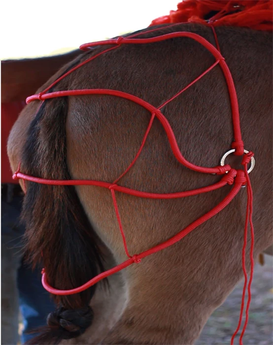 Retranca De Garupa Para Equinos/ Cavalos/ Garupeira com argolas em inox COR VERMELHO