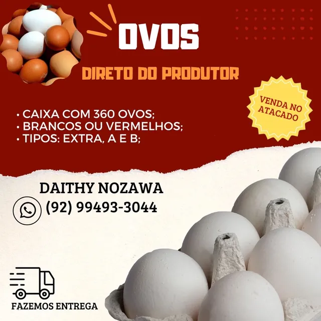 Ovos direto da granja