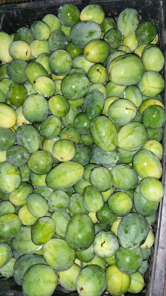 Maracujá pérola do cerrado 
