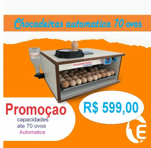 Chocadeira automática 70 ovos direto da fabrica.