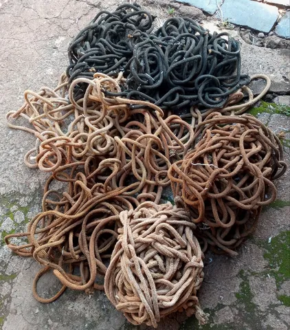 Cordas usadas