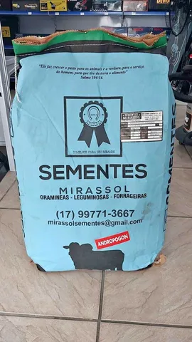 Semente de Capim Andropogon 6kg (Alta Pureza) - Novo/Loja