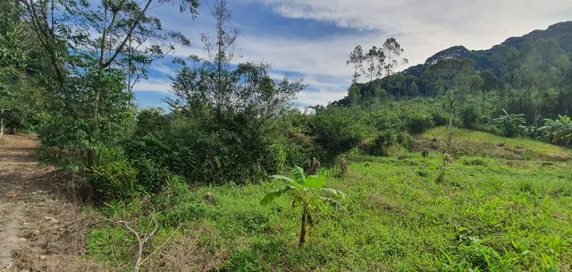 Vendo ou troco Sito no Vecchi, área rural de Cachoeiras de Macacu com 1 Nascente dentro