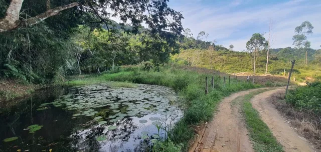 Vendo Sito fica Localizado no Bairro Vecchi, área rural de Cachoeiras de Macacu -Rj