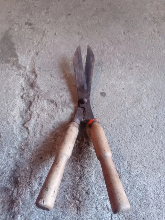 Vendo