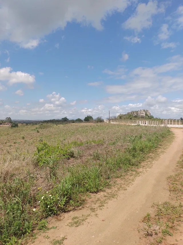 TERRA A VENDA 