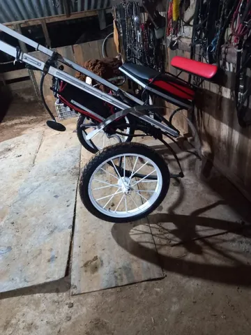 Vendo Charrete