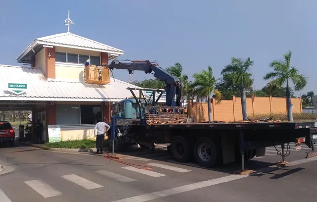 Poda de árvore com cesto aéreo 
