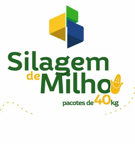 Silagem de milho-sacas
