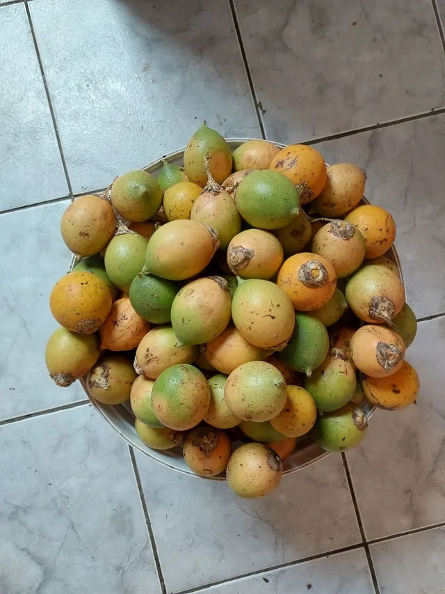 Tucumã do top. 