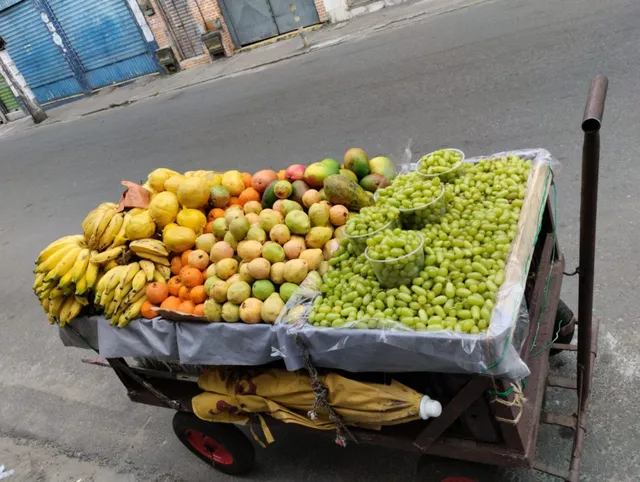 Carro prancha
