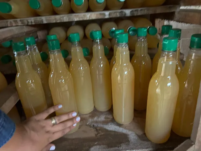 Vinagre Orgânico de Cana de Açúcar 500ml